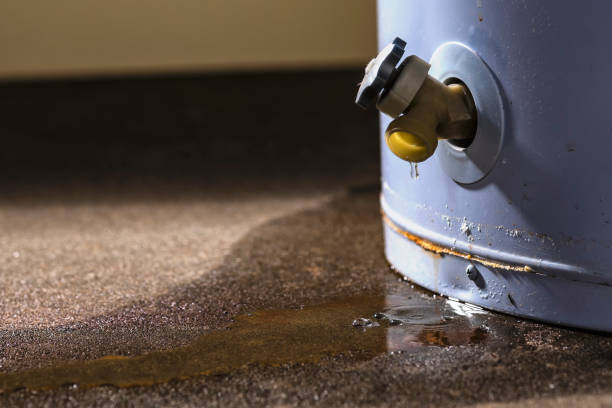 Best Water damage repair service  in Gray, LA