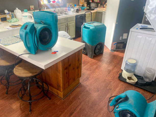 Best Sewage cleanup and water damage restoration  in Gray, LA