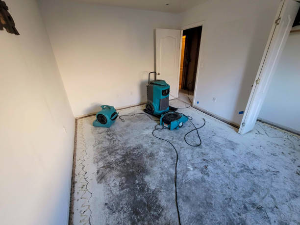 Best Water damage restoration insurance claims  in Gray, LA