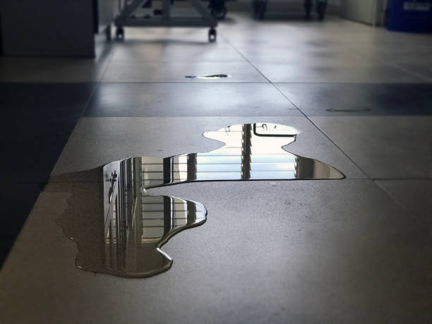 Best 24-hour water damage restoration  in Gray, LA
