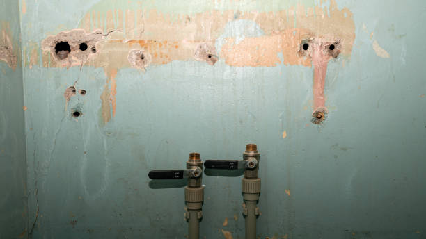 Best Mold removal after water damage  in Gray, LA