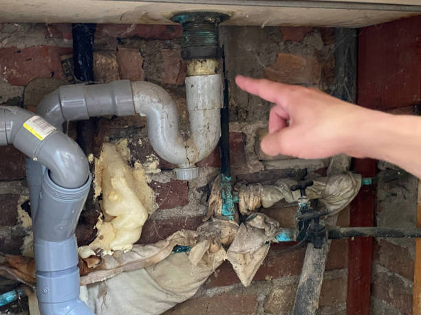 Best Water damage contractors near me  in Gray, LA